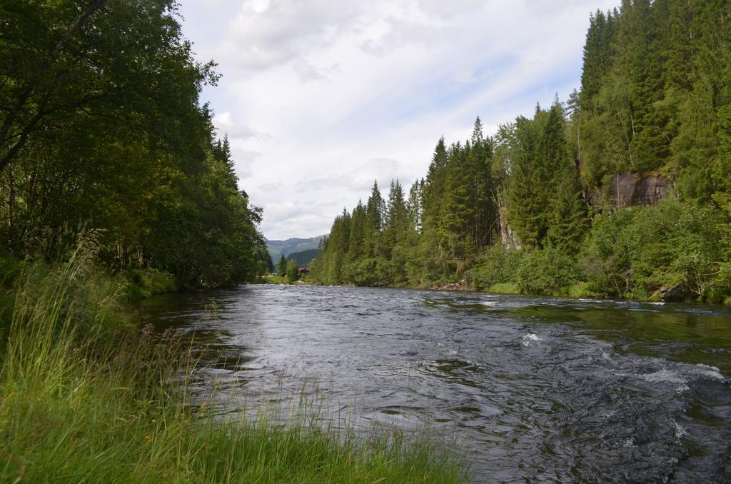Doskelandslia Camping Sygna Exterior foto